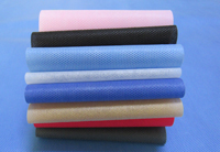 赣榆涤纶（PET）无纺布是什么